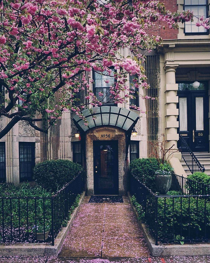 PixelThePlanet's tweet photo. ~ 
Photo: @brianmcw 
Selection: @monicasisson
~
Congrats @brianmcw — thanks for tagging #pixeltheplanet on your aw… https://t.co/P9GRqIxKW3 https://t.co/y7TfNewYBu