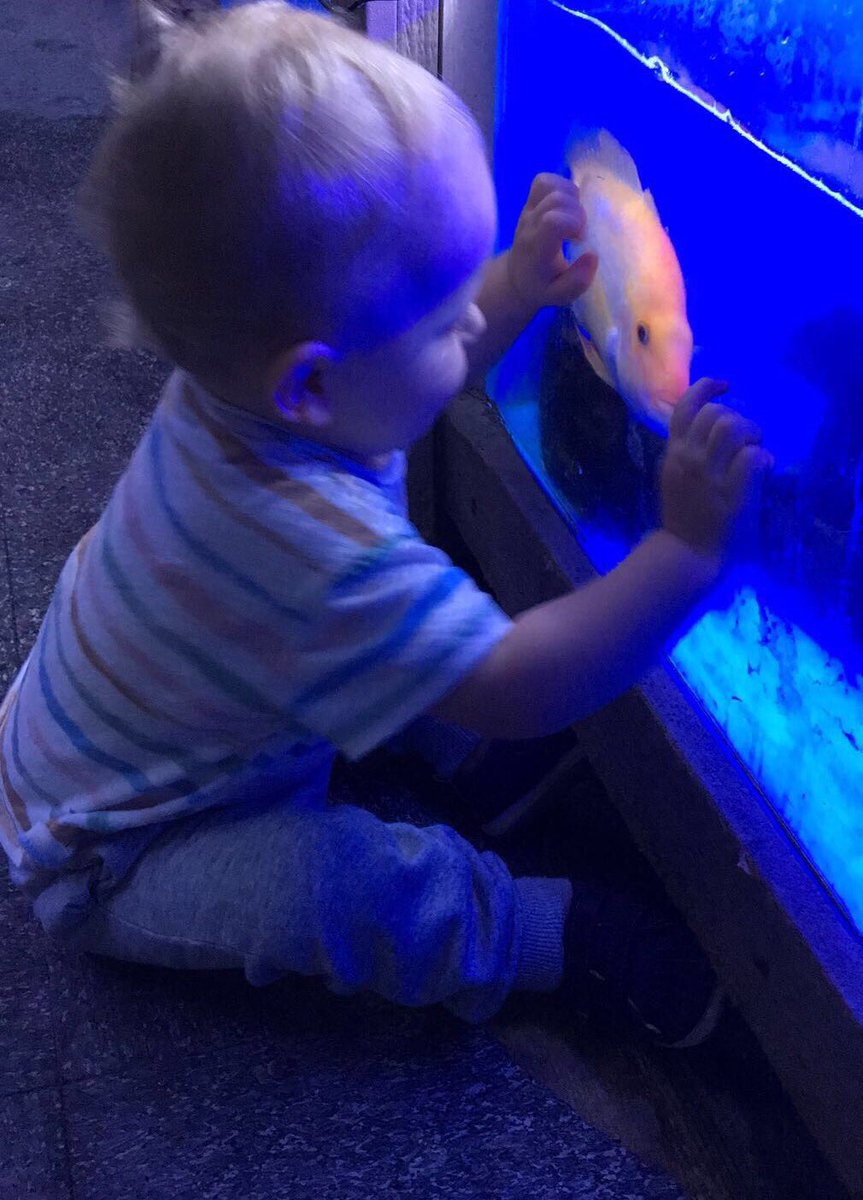 Little lad likes the fishes. 🐠