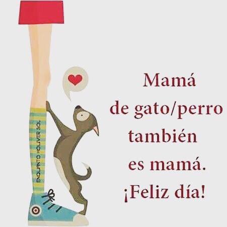 Aldonzavelez's tweet photo. Y punto!!! 😝❤️☝🏼🐶 https://t.co/CYWAzPzCgD