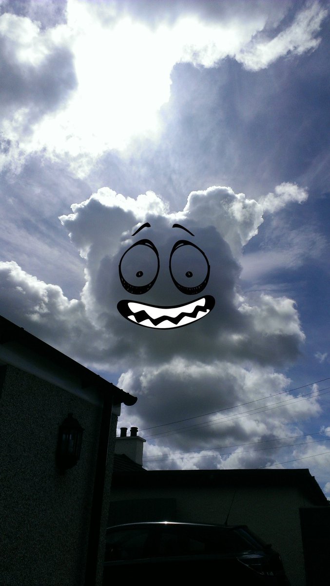 crefftmedia's tweet photo. Just caught this strange creature sneaking about peering into people's gardens #cloudbear https://t.co/Bl2hFSFSsR