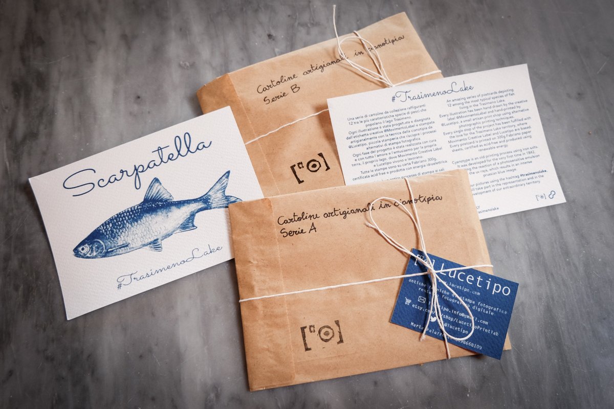 Lucetipo tweet media