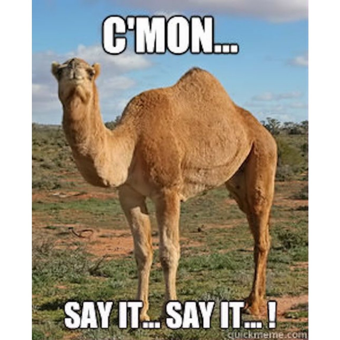Renegad3Events's tweet photo. Do you know what day it is!? 
.
.
HUMP DAY!!! 
We are half way through our week and have our eyes set on the weekend! #eventprofs #humpday https://t.co/TZmiYeHZMf