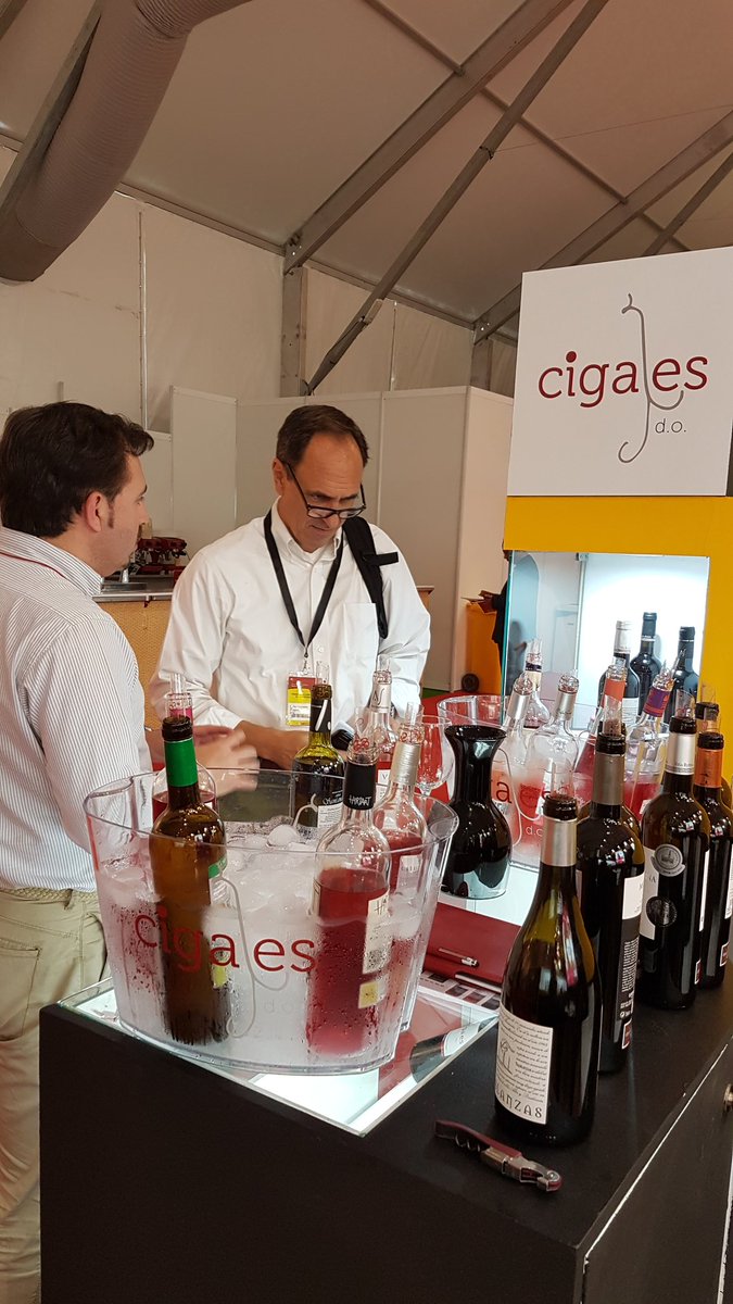 D.O. Cigales tweet media