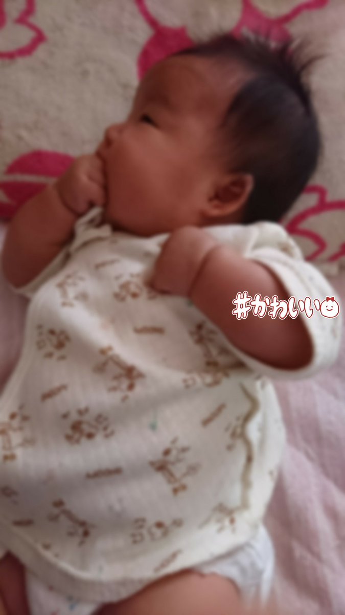 February21days's tweet photo. .
心愛ちゃん
最近 指を 吸ってて 可愛過ぎますぅ~💋 
『手 ﾍﾞﾄﾍﾞﾄだけどぉ...😅 笑笑っ』 https://t.co/olrpOEHDZ1