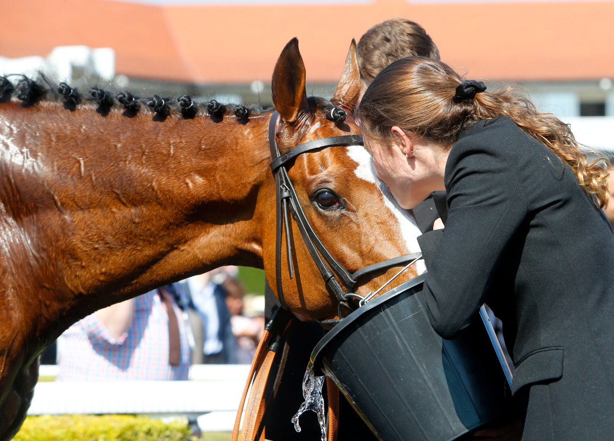 BHAHorseracing's tweet image. 2014 @godolphin Stud &amp;amp; Stable Staff Employee of the year @lcmasterton giving some well earned love to @188BET #ChesterCup winner Montaly