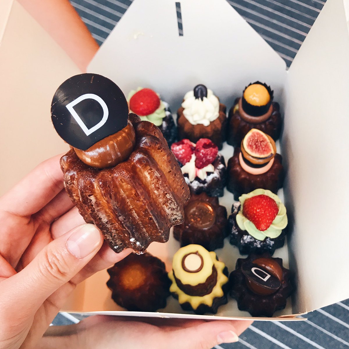 hackpartners's tweet photo. Friday Surprise at the office!!! #babelle https://t.co/utd0ORA1qb