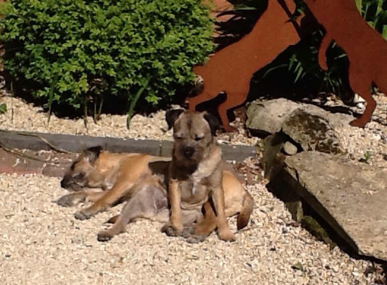 MarkRobCW's tweet image. Why use a cushion when you can sit on your brother.....