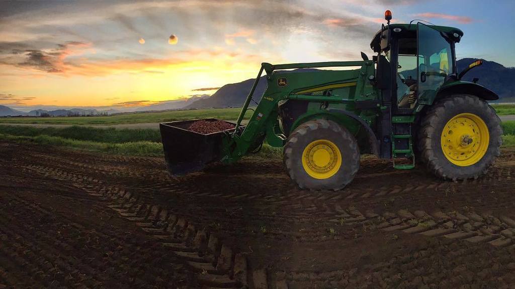 Heppell's Potato tweet media