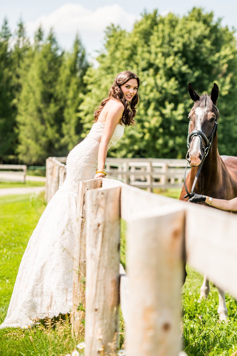ConfettiWedding's tweet photo. This is such a lovely shot! We need more #horses at #wedding for sure 👰 🏇 #inspiration ❤️ https://t.co/zpNCbz4jkE