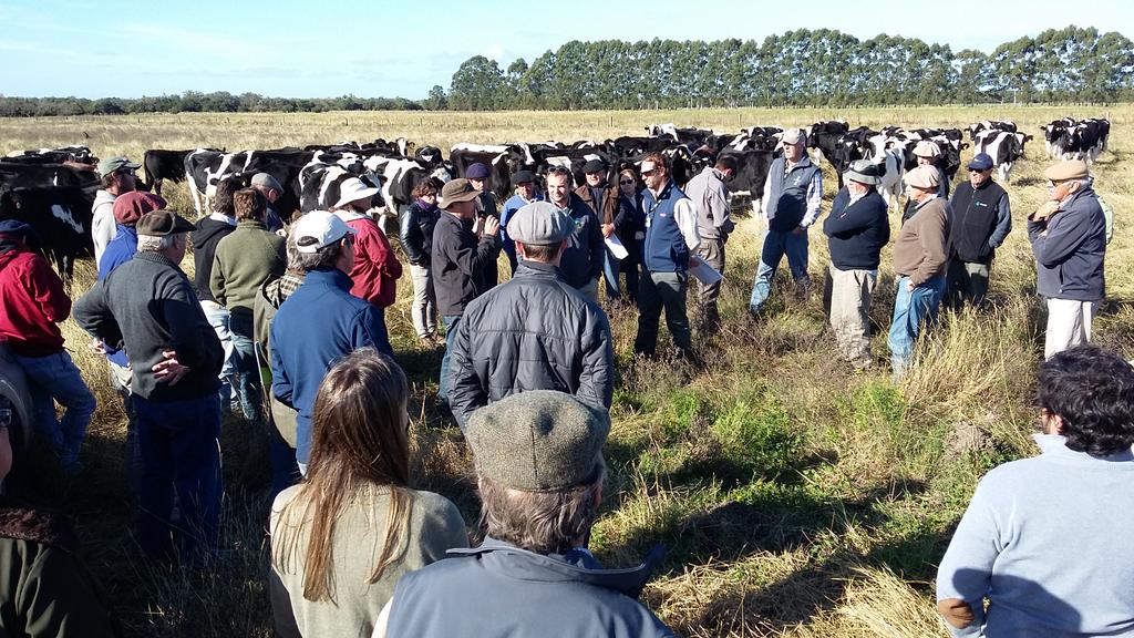 #giraganaderaCREA Visitando el establecimiento de Federico Llambi. Primer parada con un interesante esquema de manejo de ganado holando.