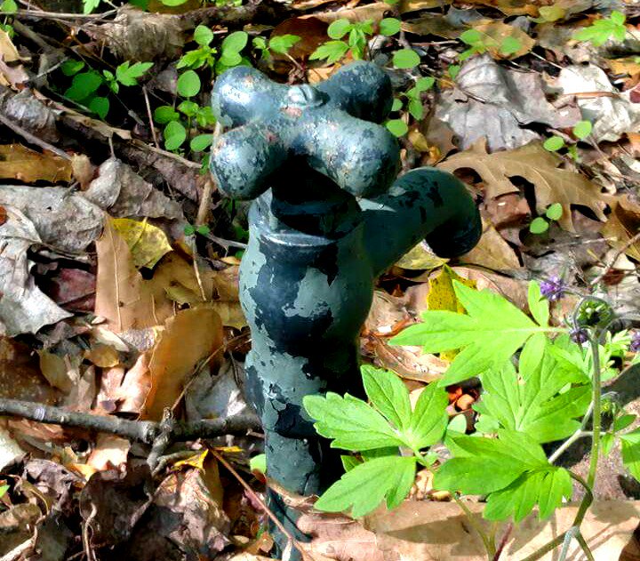 doragarytravel's tweet photo. Faucet in the forest. #photography #mtcuba #Delaware #500pxrtg https://t.co/lYnuRigmro