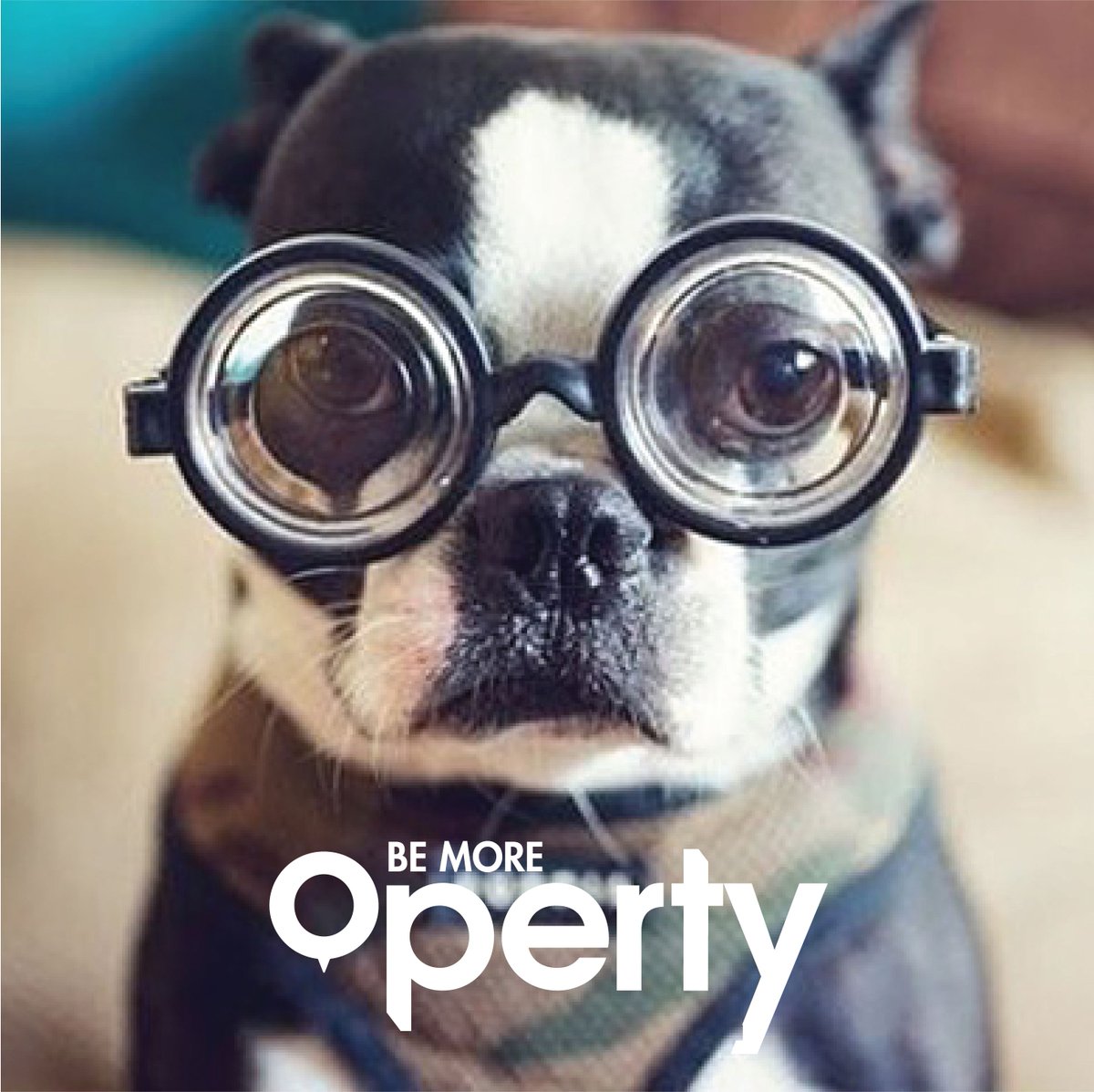 opertyapp's tweet image. Get transparency with operty and manage your property via our brand new app.