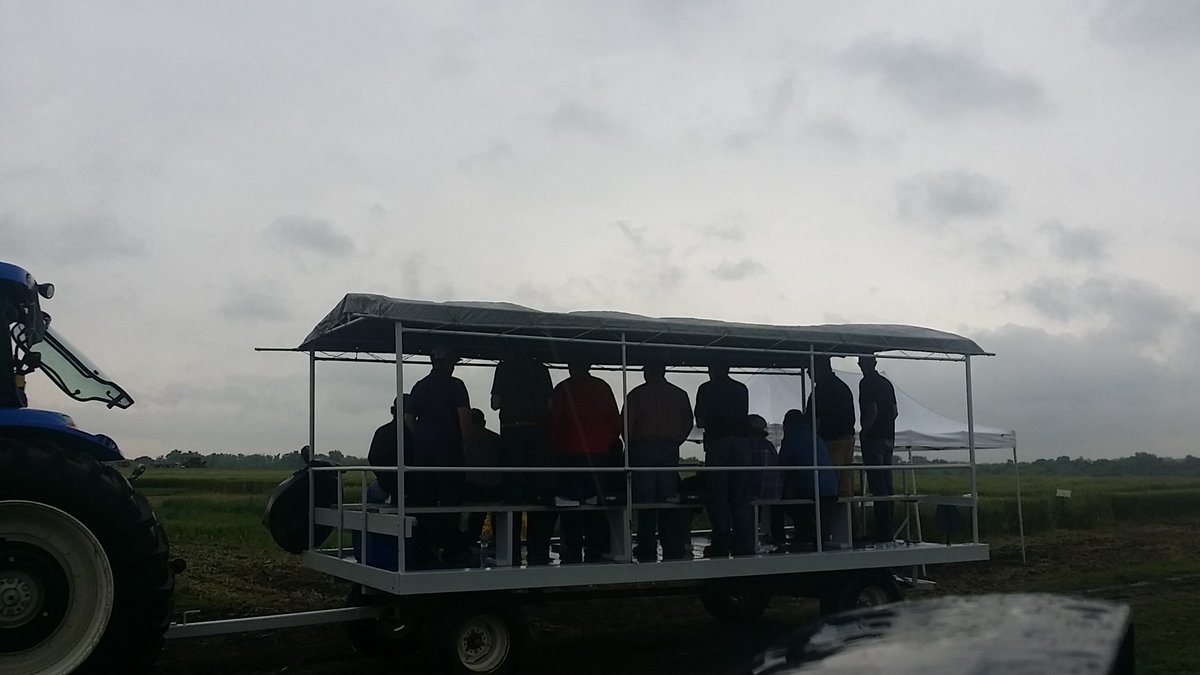 KStateSCEF's tweet photo. Rain at the #wheat diagnostic school.  Great program. https://t.co/3jq6SmFkI5
