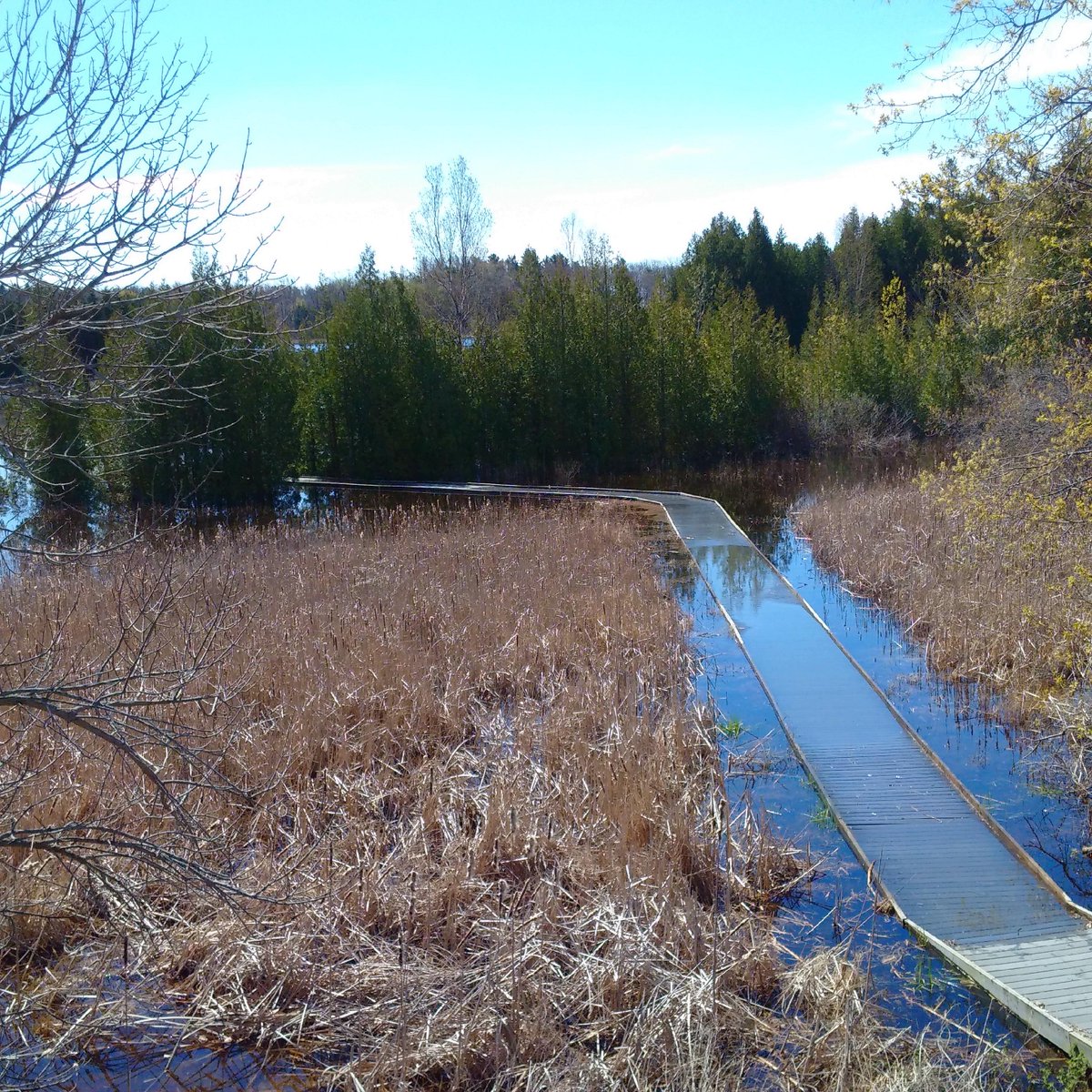 EmsCanadian's tweet photo. Boardwalk @PresquilePP @OntarioParks @EventsBrighton #ONflood #flooding Happy to see plenty of tourists in the park https://t.co/PTvqkTZ7RM