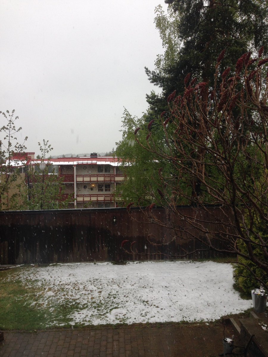 BCOslo2017's tweet photo. Snow in Oslo today ⁉️ https://t.co/aj6slcCXxI
