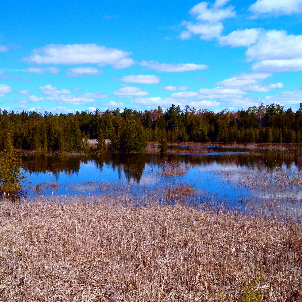 EmsCanadian's tweet photo. Boardwalk @PresquilePP @OntarioParks @EventsBrighton #ONflood #flooding Happy to see plenty of tourists in the park https://t.co/PTvqkTZ7RM