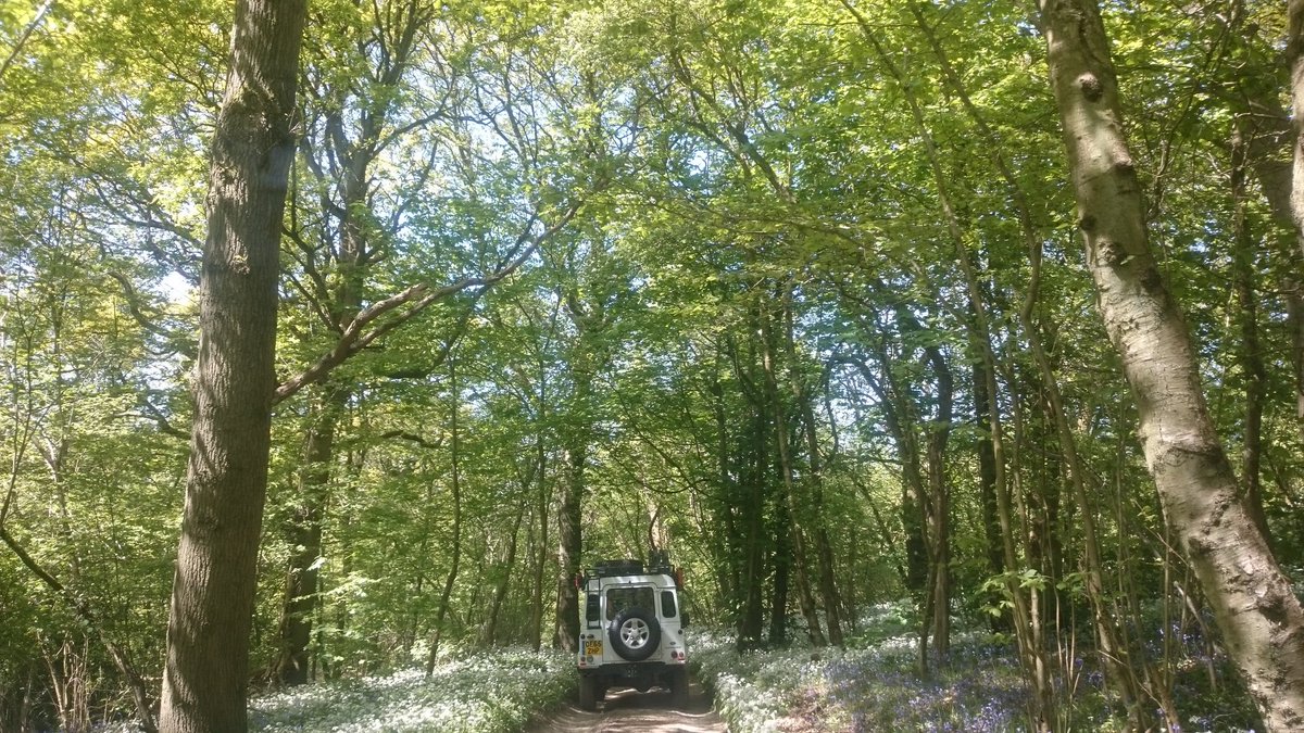 ballenuk's tweet photo. #LREEastnor https://t.co/kwmcK5RMnf