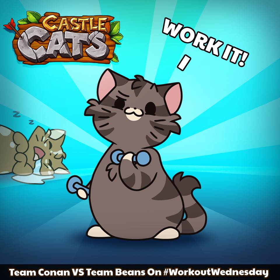 castle_cats's tweet image. Are you Team Beans ☕️or Team Conan 💪?! 😻😸✌️ #beans #conan #castlecats #workout
