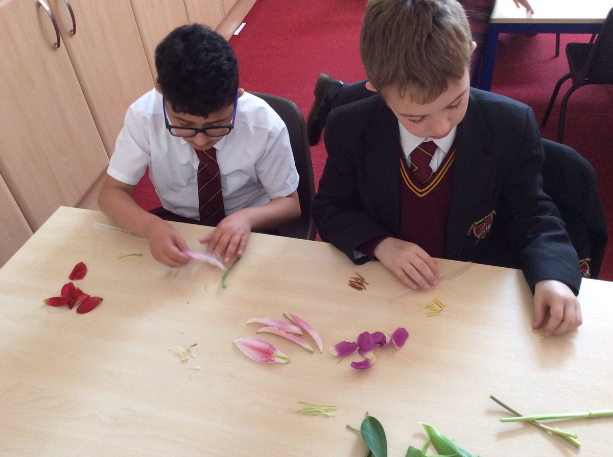 AnfieldRoadY5's tweet photo. "Who knew flowers could be so interesting!" #Anfieldloveslearning https://t.co/SPyuL4FVsz