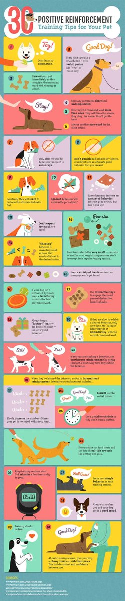 savethislifepet's tweet image. It's #WellnessWednesday - check out these tips for positive reinforcement! #SaveThisLifeChip #WhosAGoodDog :)