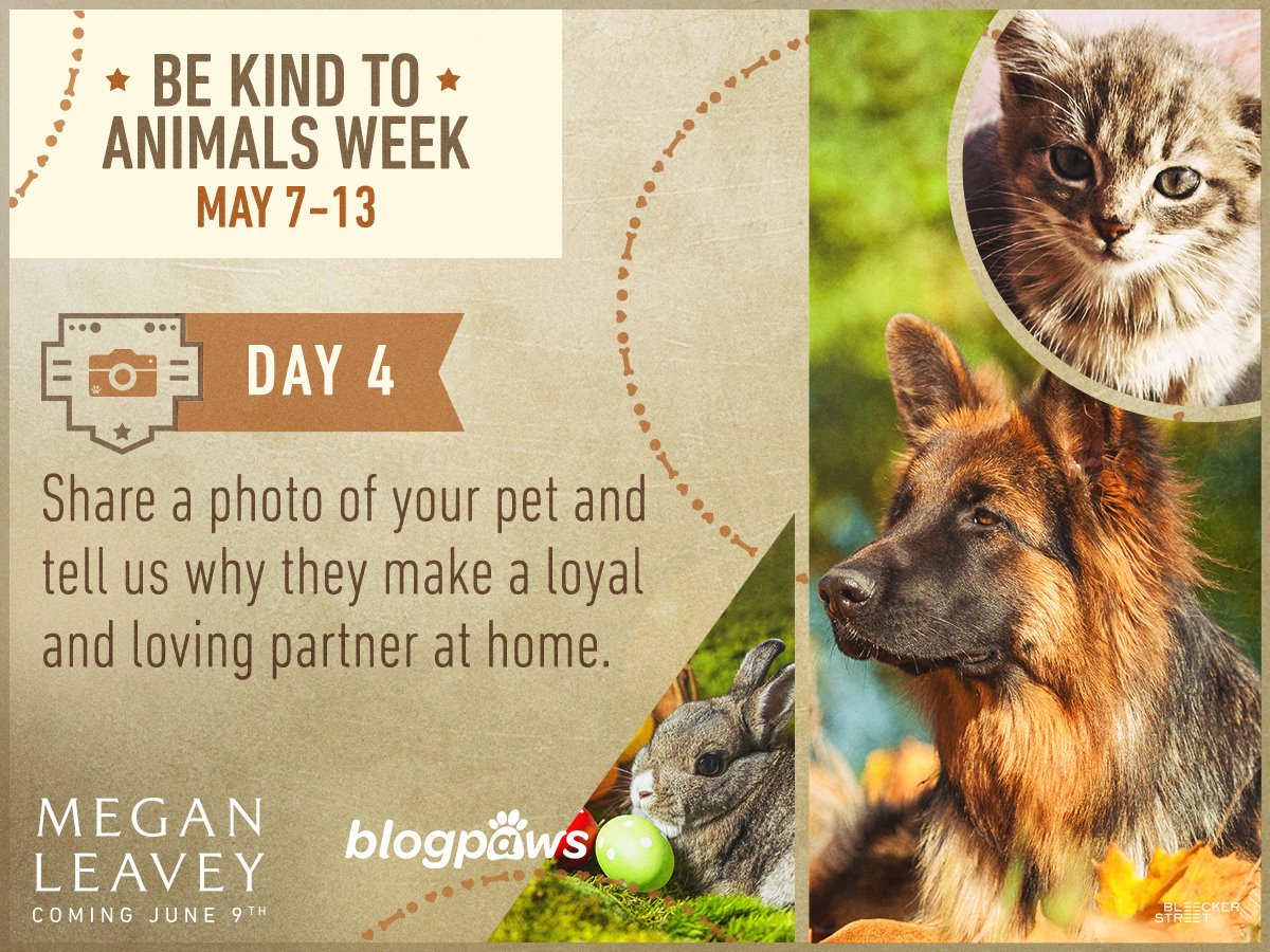 MeganLeavey's tweet image. Raise awareness &amp;amp; compassion for animals by sharing photos or stories about your fav four-legged friends! #MeganLeavey #BeKindToAnimalsWeek