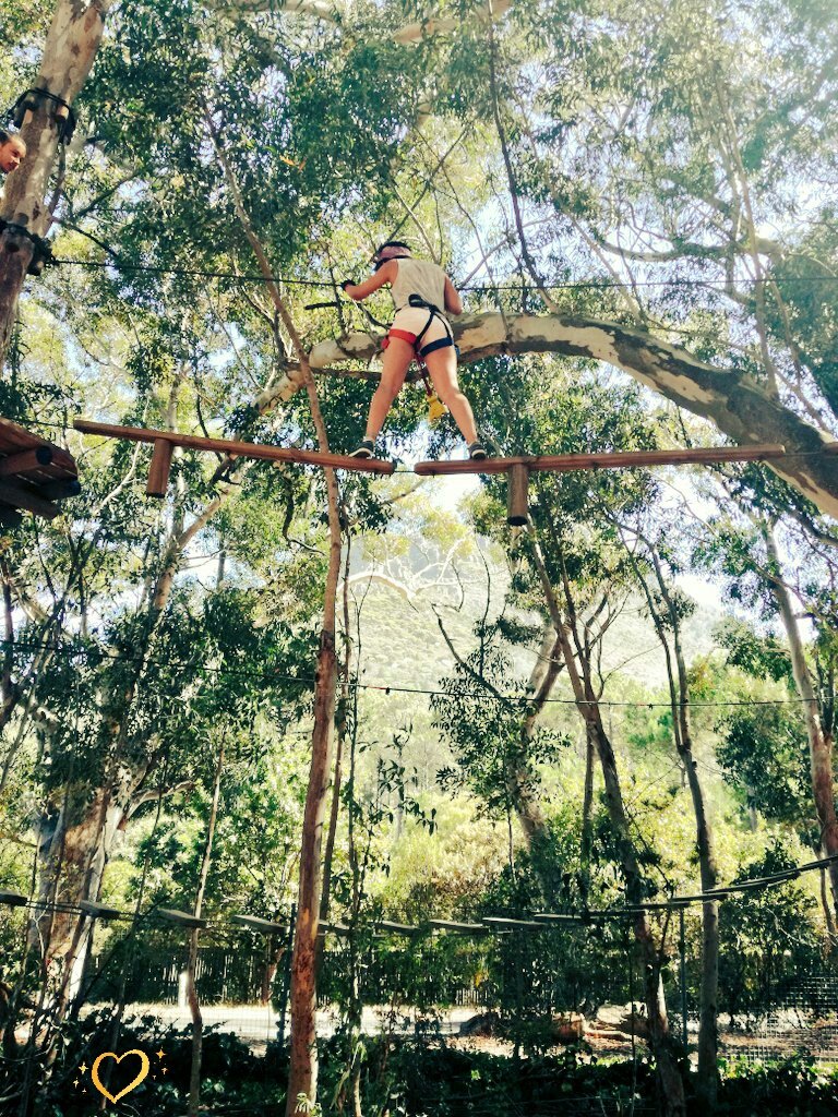 donique_coetzee's tweet photo. @Acrobranch
#amazingsetup #gethooked
#greatscenery #adidasoriginals #tbtmybirthday๐ https://t.co/0oVvceAEsf