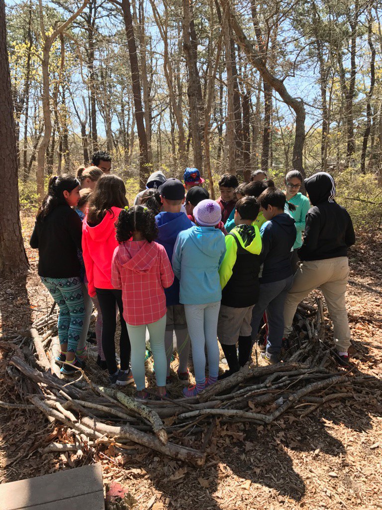 MrsPhillips13's tweet photo. #Great field trip #Quogue wildlife rescue @southoldelem @DebKimmelman https://t.co/XeVrw6EGFa