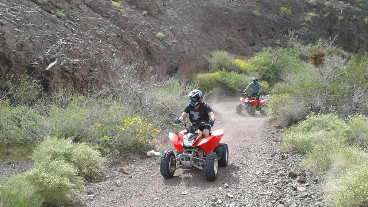 LVATV's tweet photo. #Vegas #thingstodo #outdoor #fun for all #atvtour #horsebacktour #ziplinetour #scenic #trails and #Jetskis 
WE ARE YOUR ONE STOP Playground https://t.co/Vr6PQhOCsA