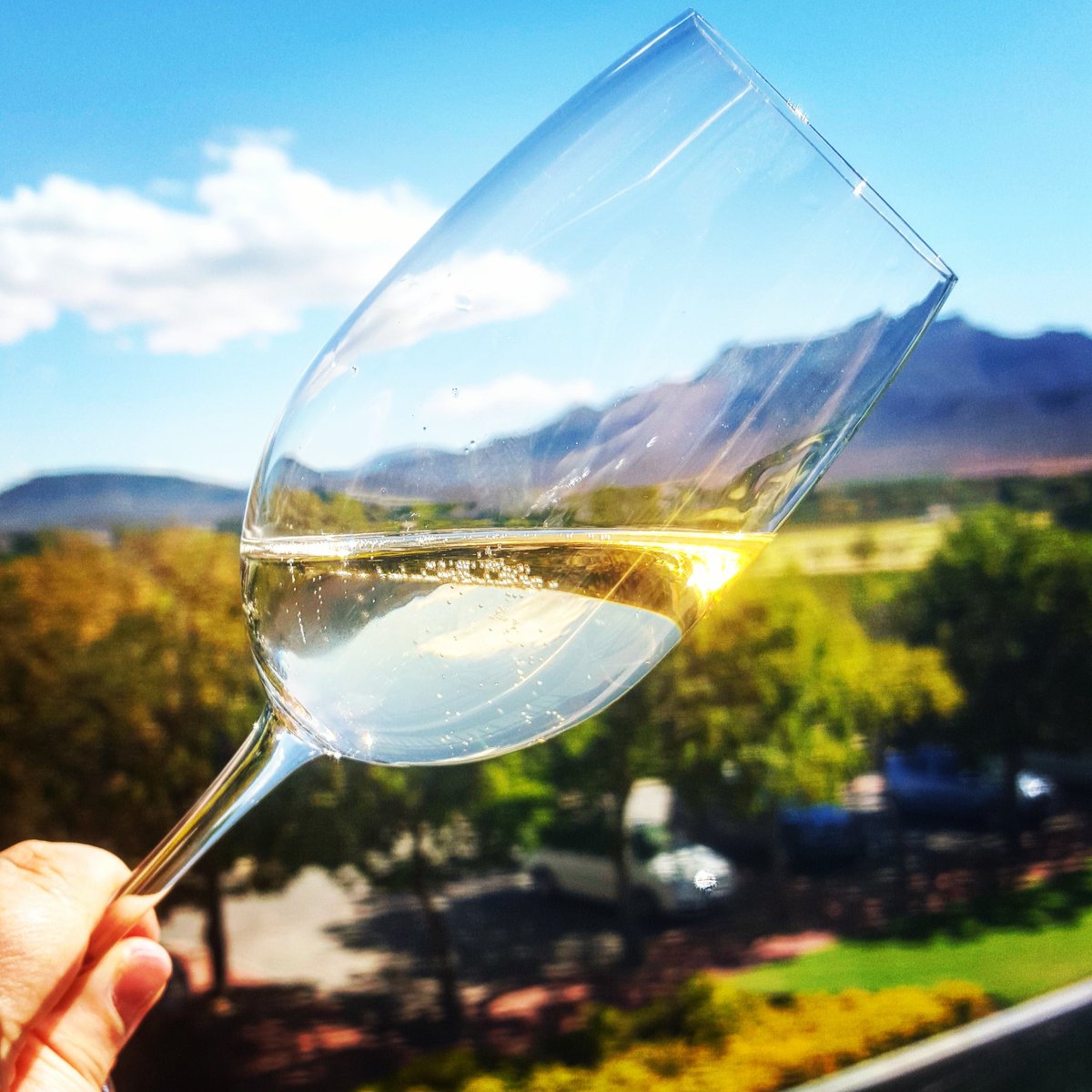 HOT_OVEN's tweet image. We love the incredible wines from SA @RobertsonWineV #tastethelifestyle #travelchatsa #visitlangeberg