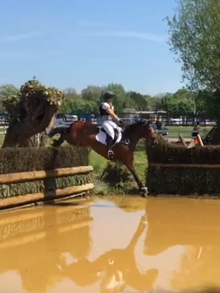 sarahahedges's tweet photo. Little Ralph being perfect at Aston Intermediate with a 32.5 DR, one down & awesome XC with a rider error, love him lots! #goodgoat โค๏ธ https://t.co/mZOrhFmAdA