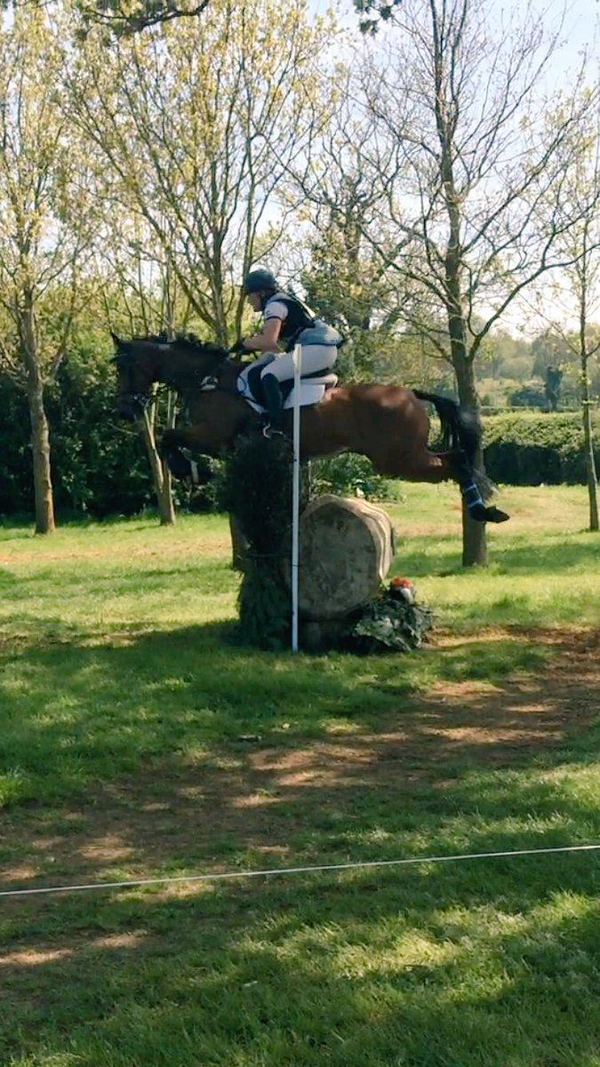 sarahahedges's tweet photo. Little Ralph being perfect at Aston Intermediate with a 32.5 DR, one down & awesome XC with a rider error, love him lots! #goodgoat โค๏ธ https://t.co/mZOrhFmAdA