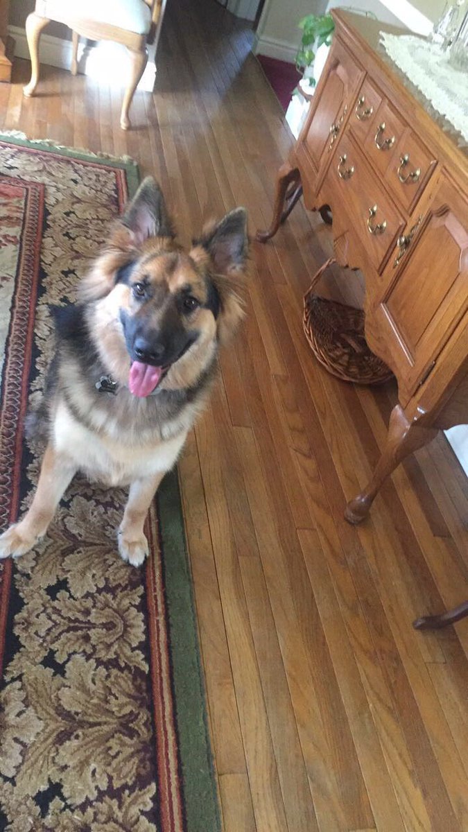 val_mikec's tweet image. Can&apos;t wait to see my baby tomorrow 😍