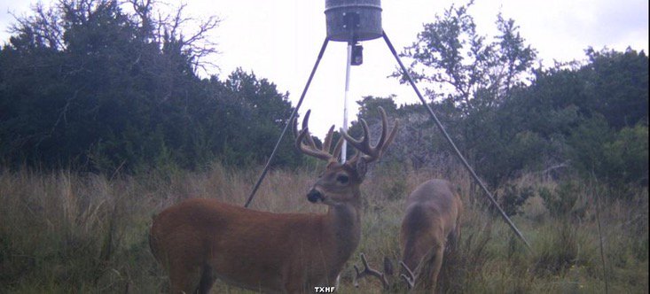Check out these great #WisdomWednesday hunting tips from @ScoutMedia  ow.ly/Bbj830bxKYQ