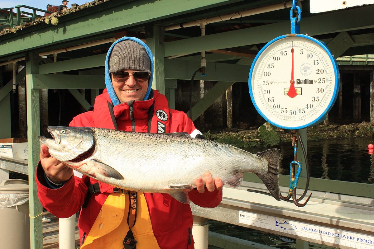 April_Point's tweet image. Just two more sleeps until the fun times at April Point begin! #quadraisland #bctourism