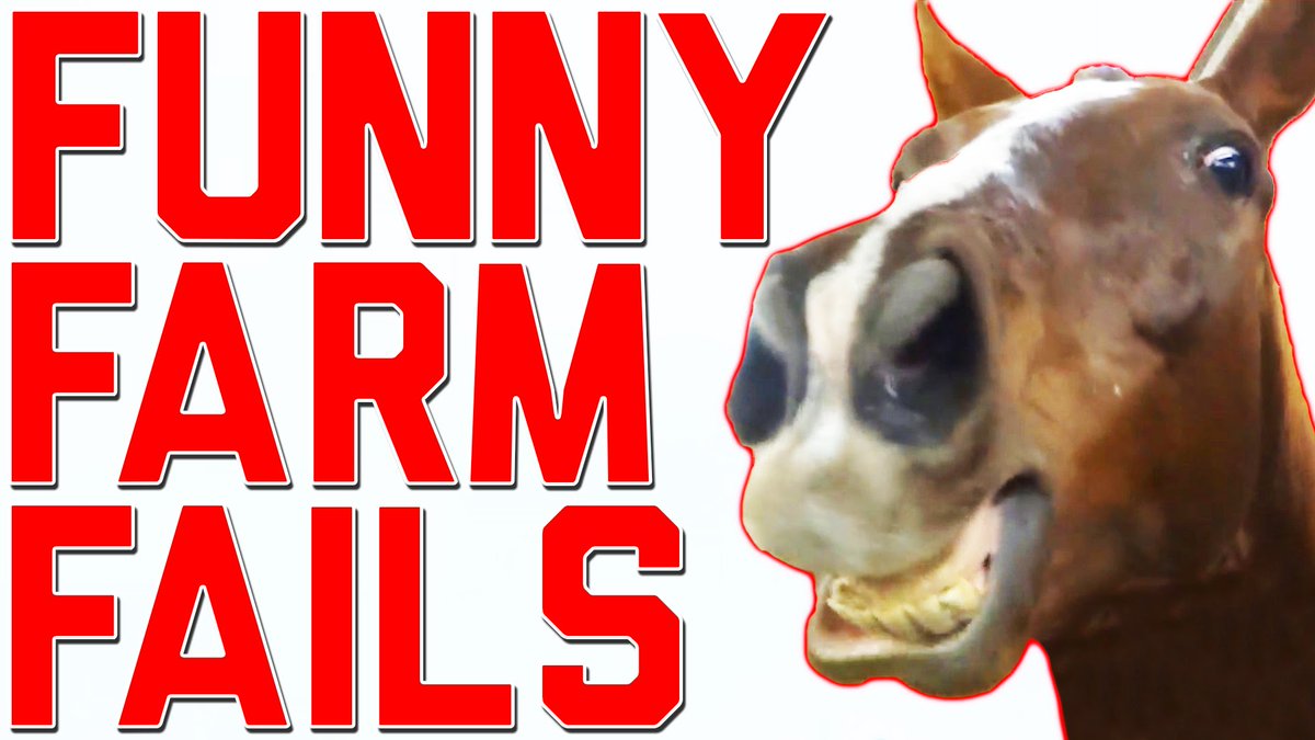 KBDNF's tweet photo. Tweet your funny farm fails! #country #farming #fails #farmfails https://t.co/aZFYlk4zD9
