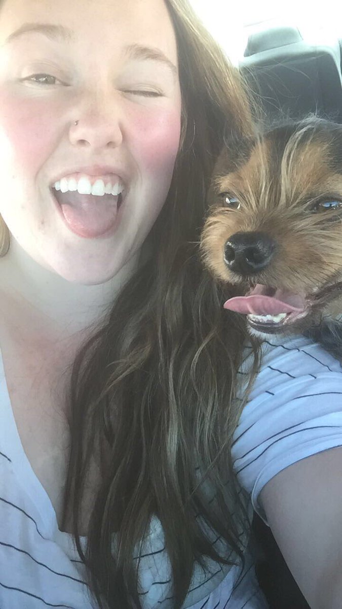 aubsjune's tweet photo. This cutie right here might have lymphoma which means he would only live for a 1-2 months. Please pray for him. He means everything to me. https://t.co/z1hURIUiEa