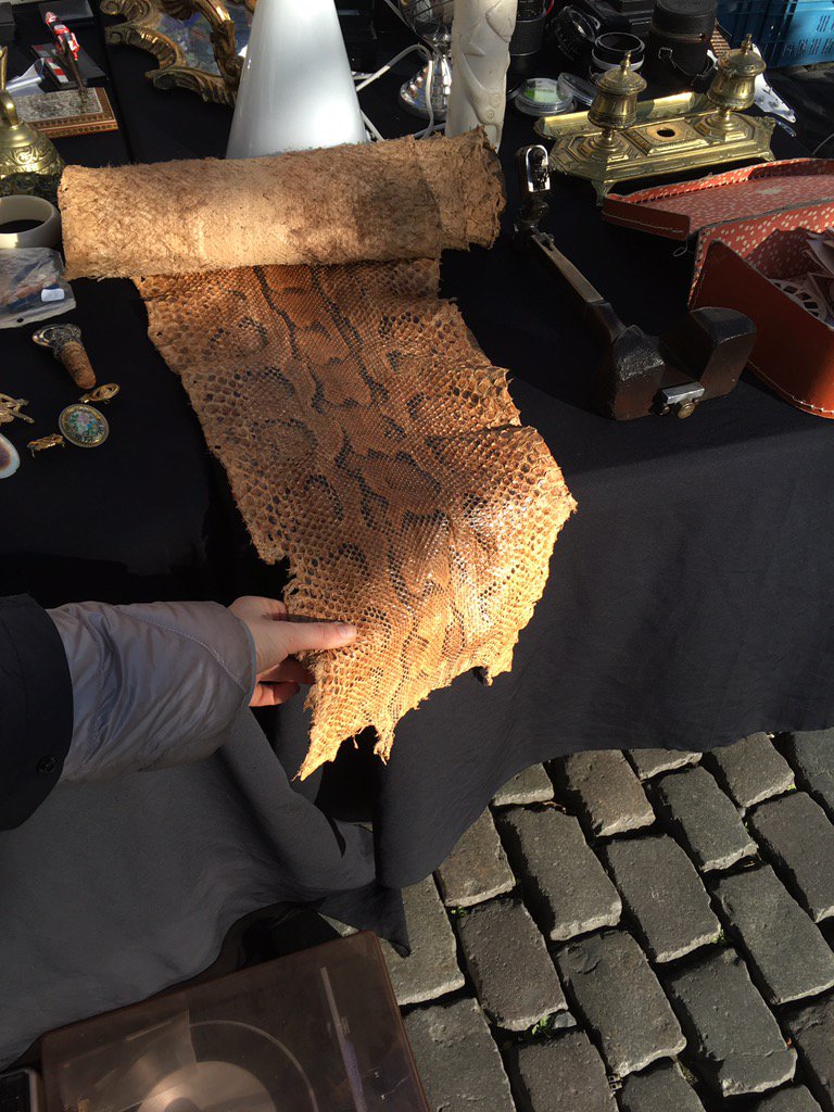 _Sergina's tweet image. If u change your hair colour, your name &amp;amp; your clothes it will show you in a different light #differentlight #snake