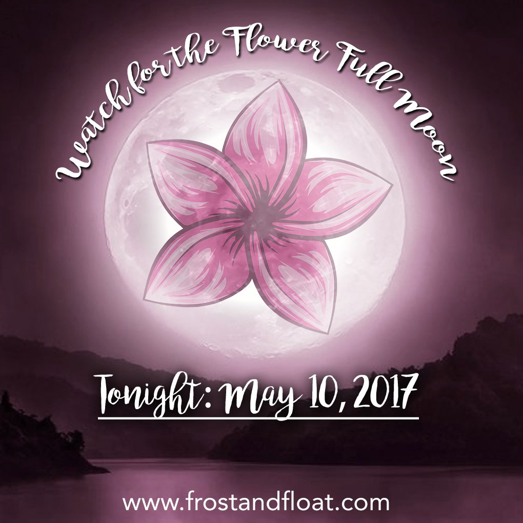 Frost and Float tweet media