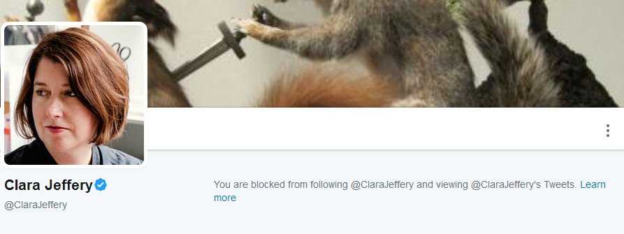 Pliny_theElder's tweet photo. i guess that's a "no" https://t.co/GxPIk5QlQC