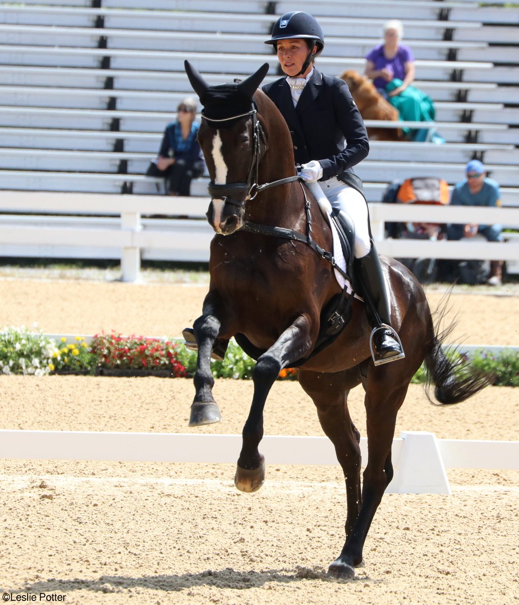 TheBritmobile's tweet photo. Another new, belated blog post from #rk3de in which I struggle with shopping at the trade fair. And watch dressage. https://t.co/SSvvYKM1Go https://t.co/LI4oMVpMQU