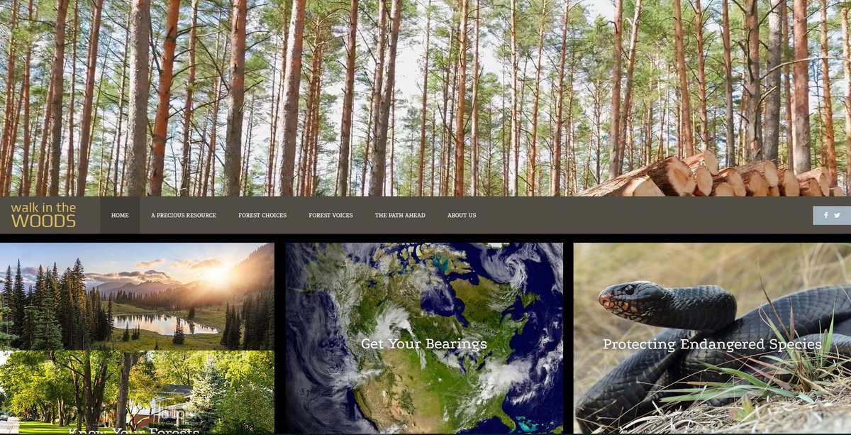 We’re proud to be a part of <a href="/_WalkntheWoods/">W|W now @forestproud</a>, telling the story of North’s America’s #forests walkinthewoodswith.us  #forestproud