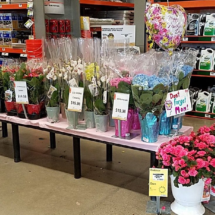MicandyHD's tweet photo. #MothersDay @Homedepotjackso @Mark_Gridley @kelly_mayhall @homedepot2766 https://t.co/OH1HqM0kF4