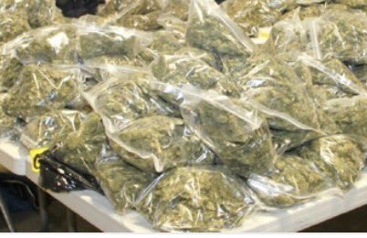 springnuts21's tweet image. Bout ready to get this work out to my soldiers on the street #bowwowchallenge