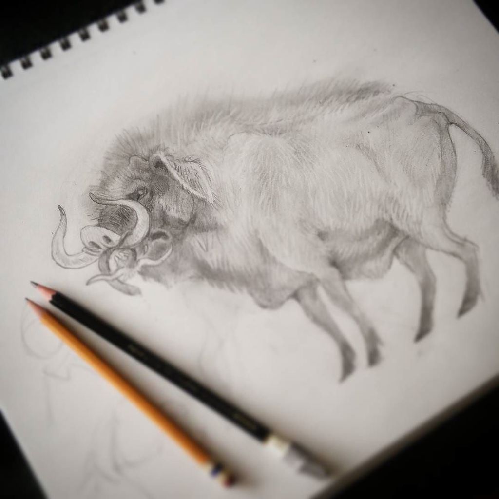 With my brain it's either cutesy farm animals or hairy pig monsters. There is no in between.

#sketching #piggy #monster #drawing #animalil…
