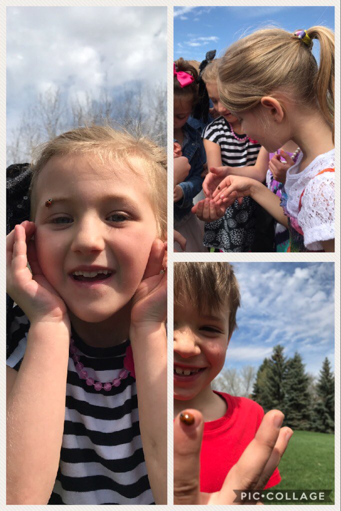 1C ❤️ Nature Journaling.  piccollage.com/_g6AWGckM