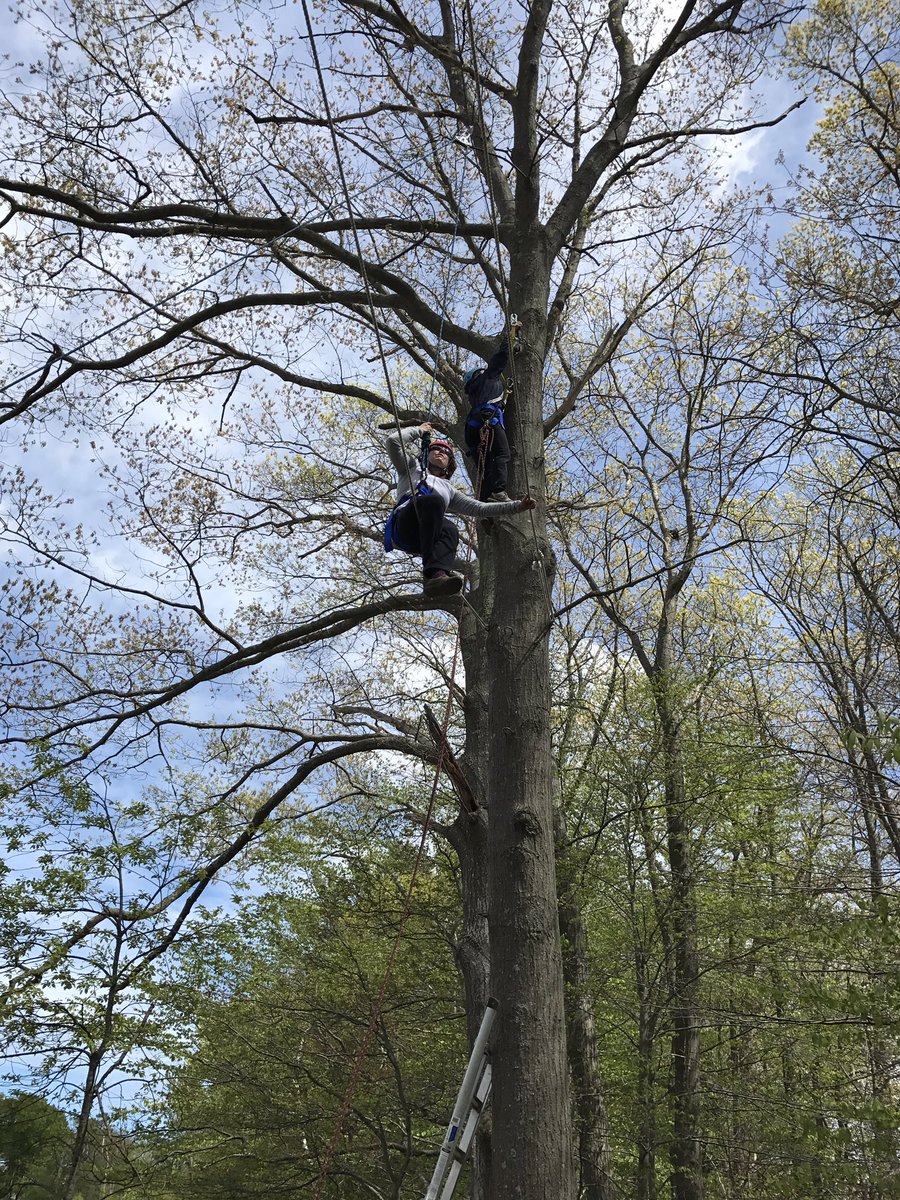 MattGauron's tweet photo. Wellness Department practicing rescue skills on challenge course @JimLaSelva @HWSball @hwrsd_wellness @MRMS_LifeSkills https://t.co/LnRJQ3xrhq