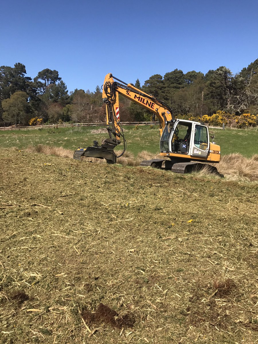 Getting rid of the gorse with the slagkraft