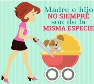 Así es, no siempre somos de la misma especie, pero el amor es el mismo <a href="/DENISSAT/">Denisse Amparo</a> <a href="/patrmarsh/">𑁍ᑭᗩT ♀️🟣</a> <a href="/Laikapp/">Laika</a> <a href="/amoresperrosch/">Amores Perros Chile</a> 💕🐈🐷🐱🐭🐶🐼🐦🐴🐺🐌🐞🐬🦃🐓🦉🐕🐇🐾🐘🐂🐃🐔