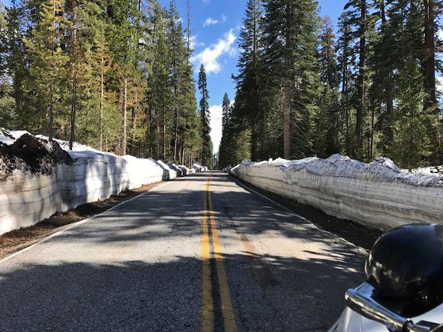 Yosemite National Park tweet media