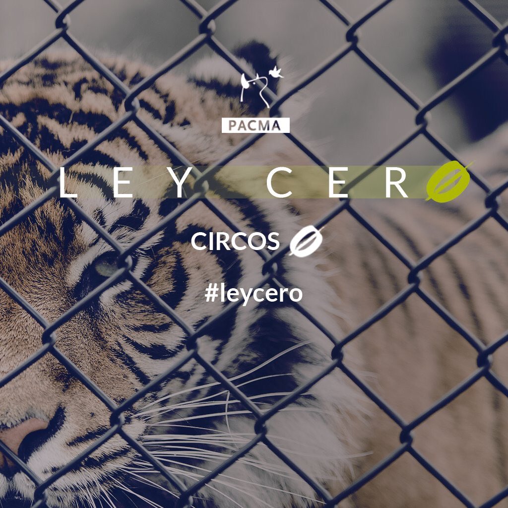 Sandrazber's tweet photo. ⛔️circos
⛔️tauromaquia
⛔️sacrificio
✅empatía 
✅respeto
✅justicia 
#LeyCero https://t.co/CY455M1BaT